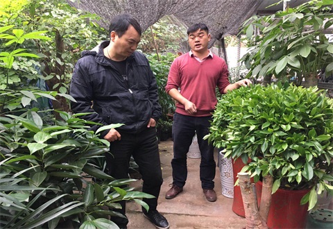 厲行節(jié)約 親臨市場